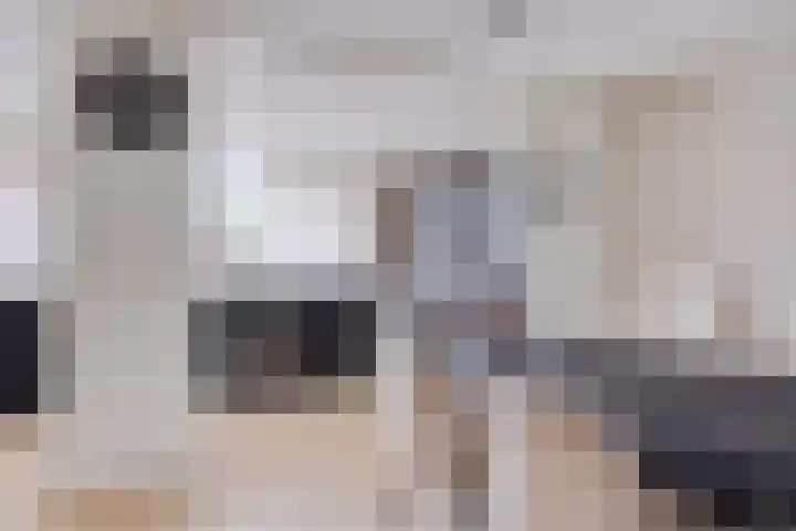 Zalm 10 Oss thumbnail 6