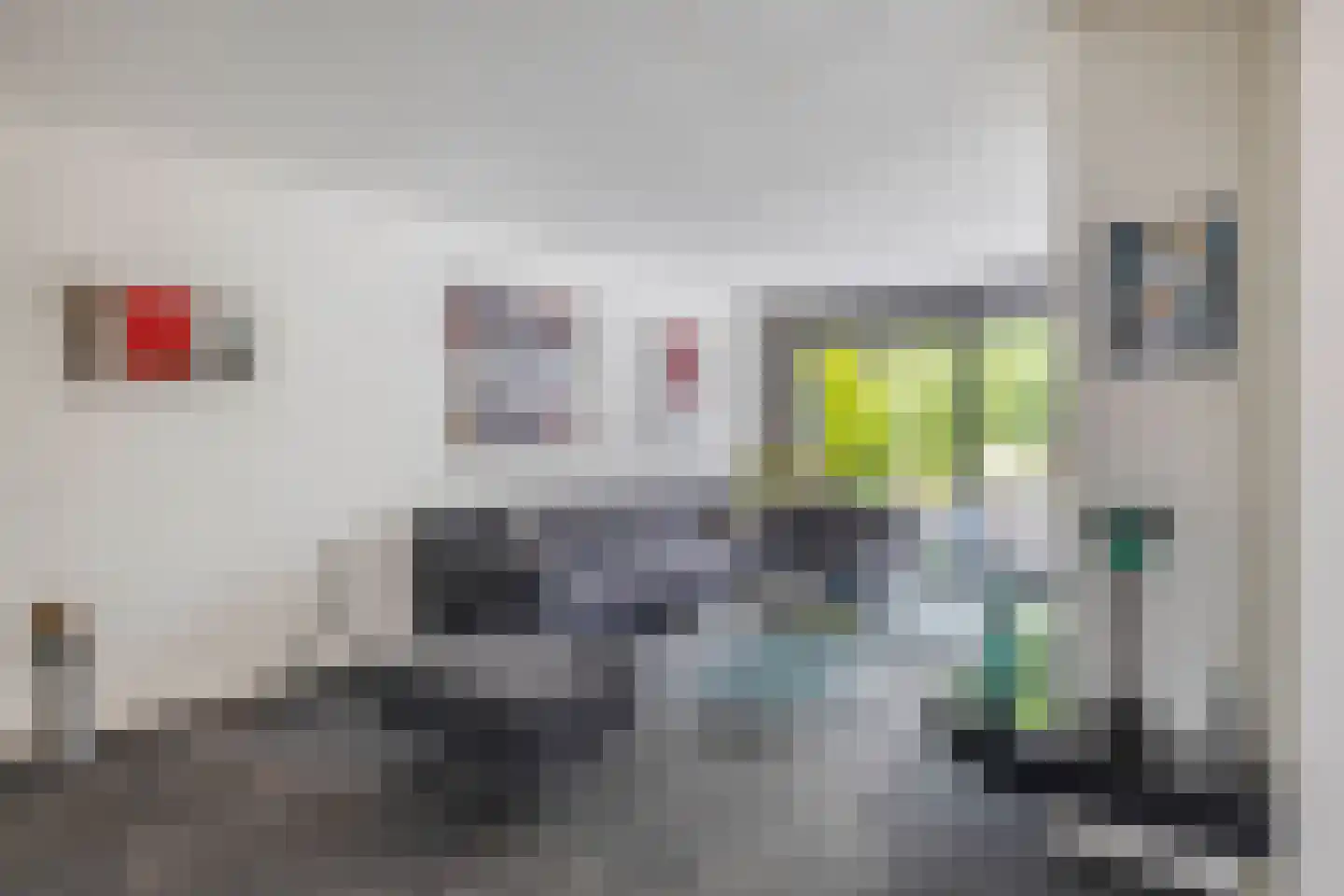 Zalm 7 Ridderkerk thumbnail 10