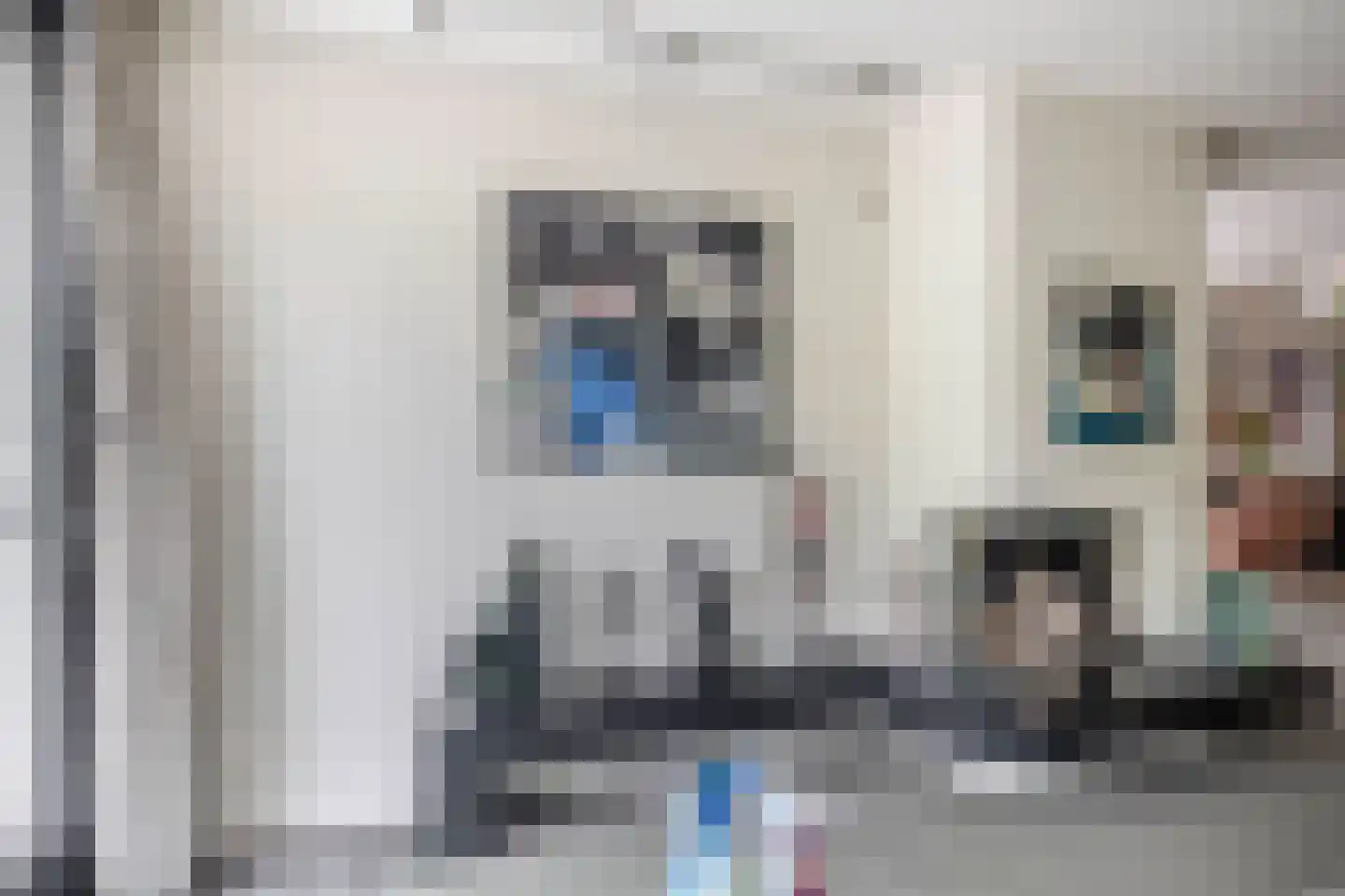Zalm 7 Ridderkerk thumbnail 15