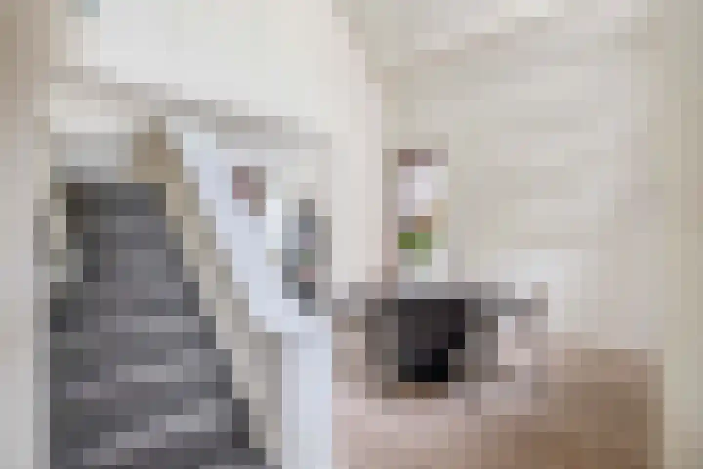 Zalm 7 Ridderkerk thumbnail 27
