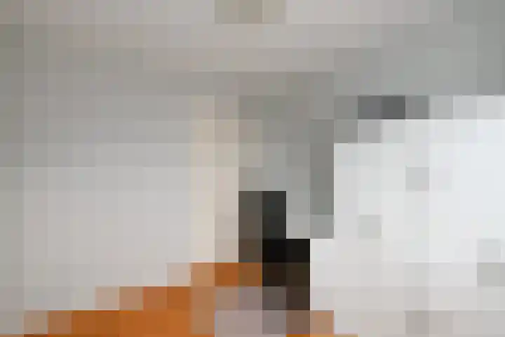 Zalm 7 Ridderkerk thumbnail 28