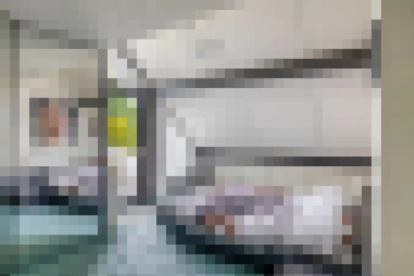 Zalm 7 Ridderkerk thumbnail 30