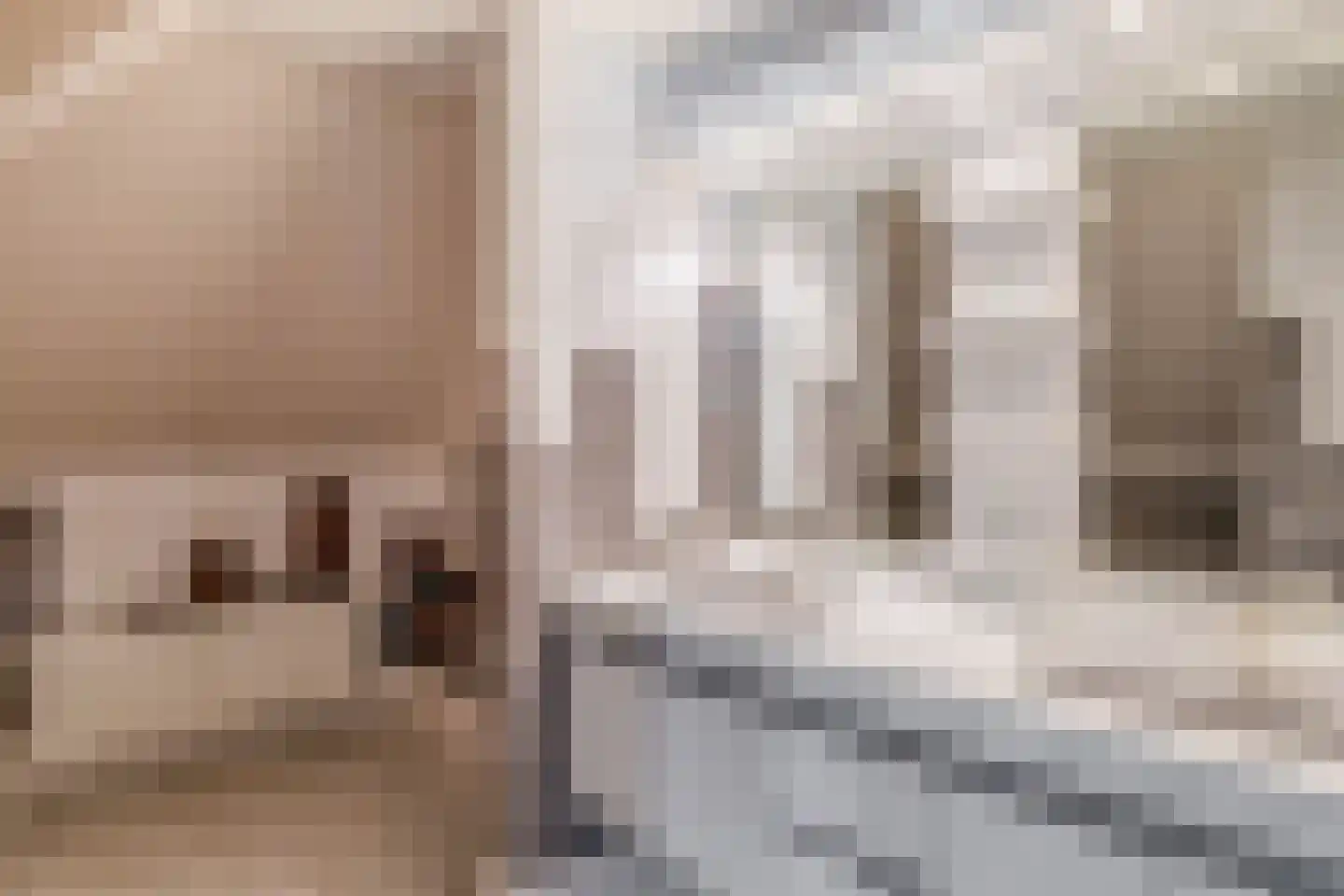 Zalm 7 Ridderkerk thumbnail 39