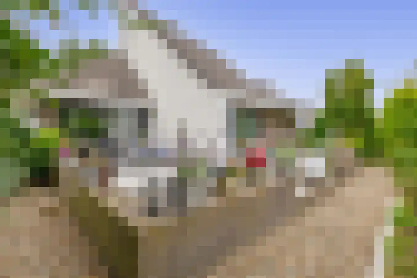 Zalm 7 Ridderkerk thumbnail 4