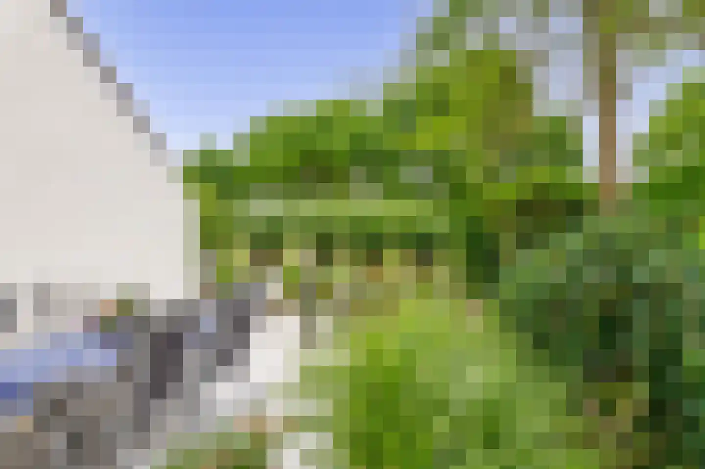 Zalm 7 Ridderkerk thumbnail 54
