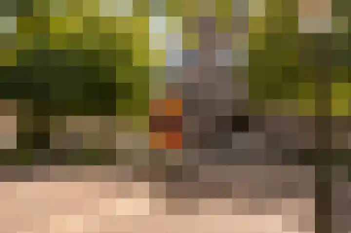 Zalm 7 Ridderkerk thumbnail 55