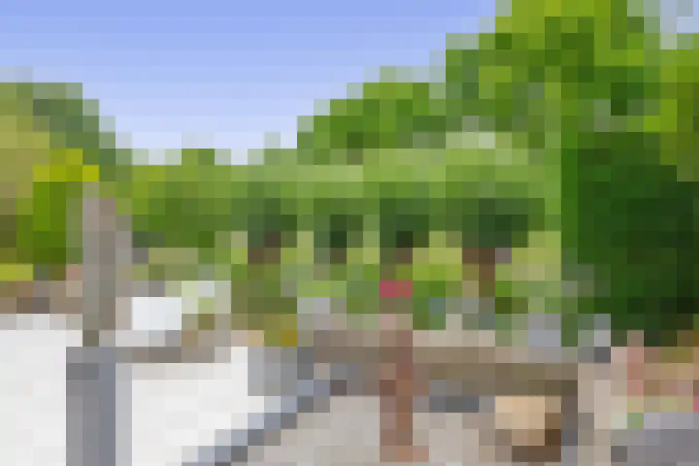 Zalm 7 Ridderkerk thumbnail 55