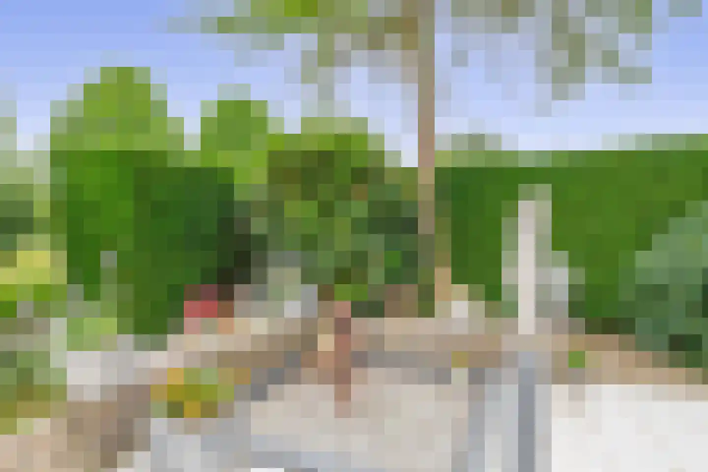 Zalm 7 Ridderkerk thumbnail 56