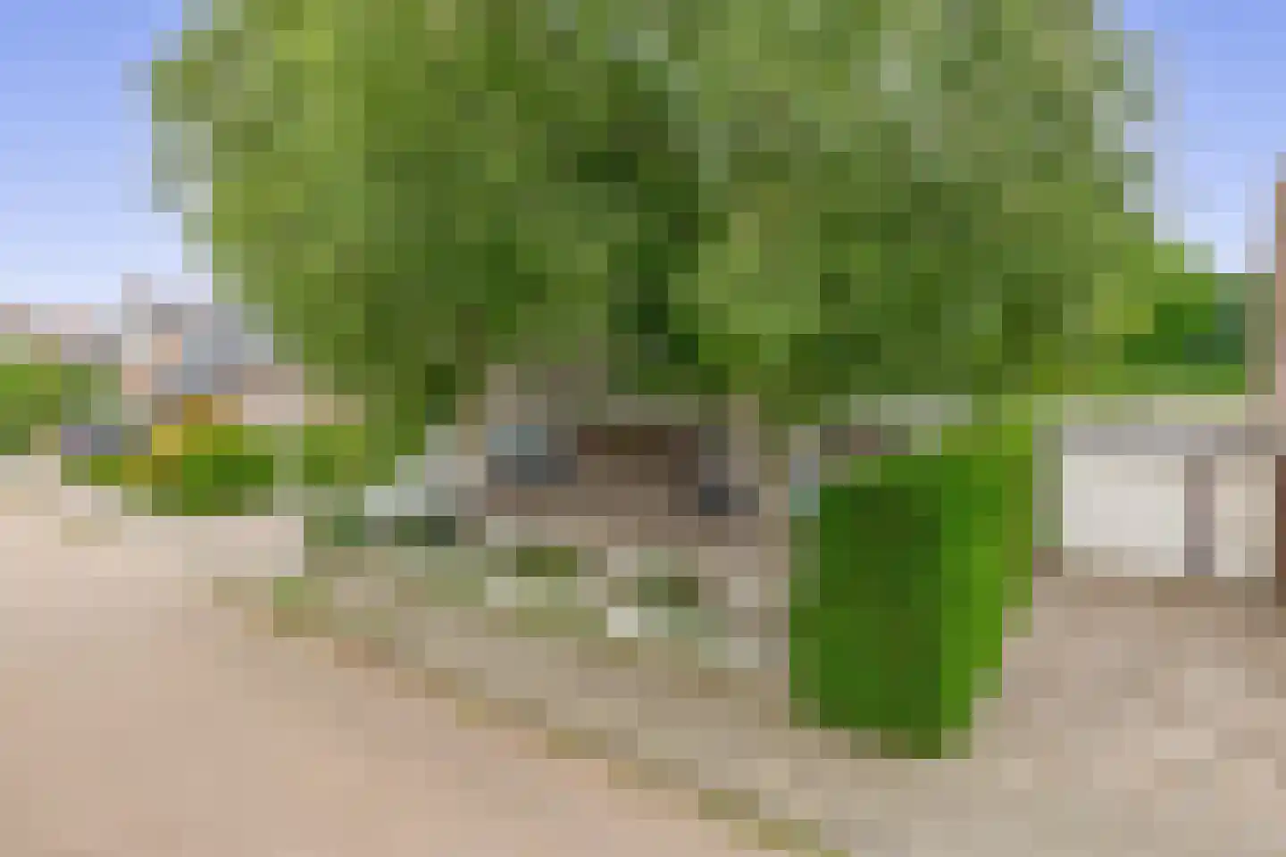 Zalm 7 Ridderkerk thumbnail 58
