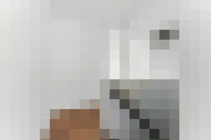 Zalm 7 Ridderkerk thumbnail 6