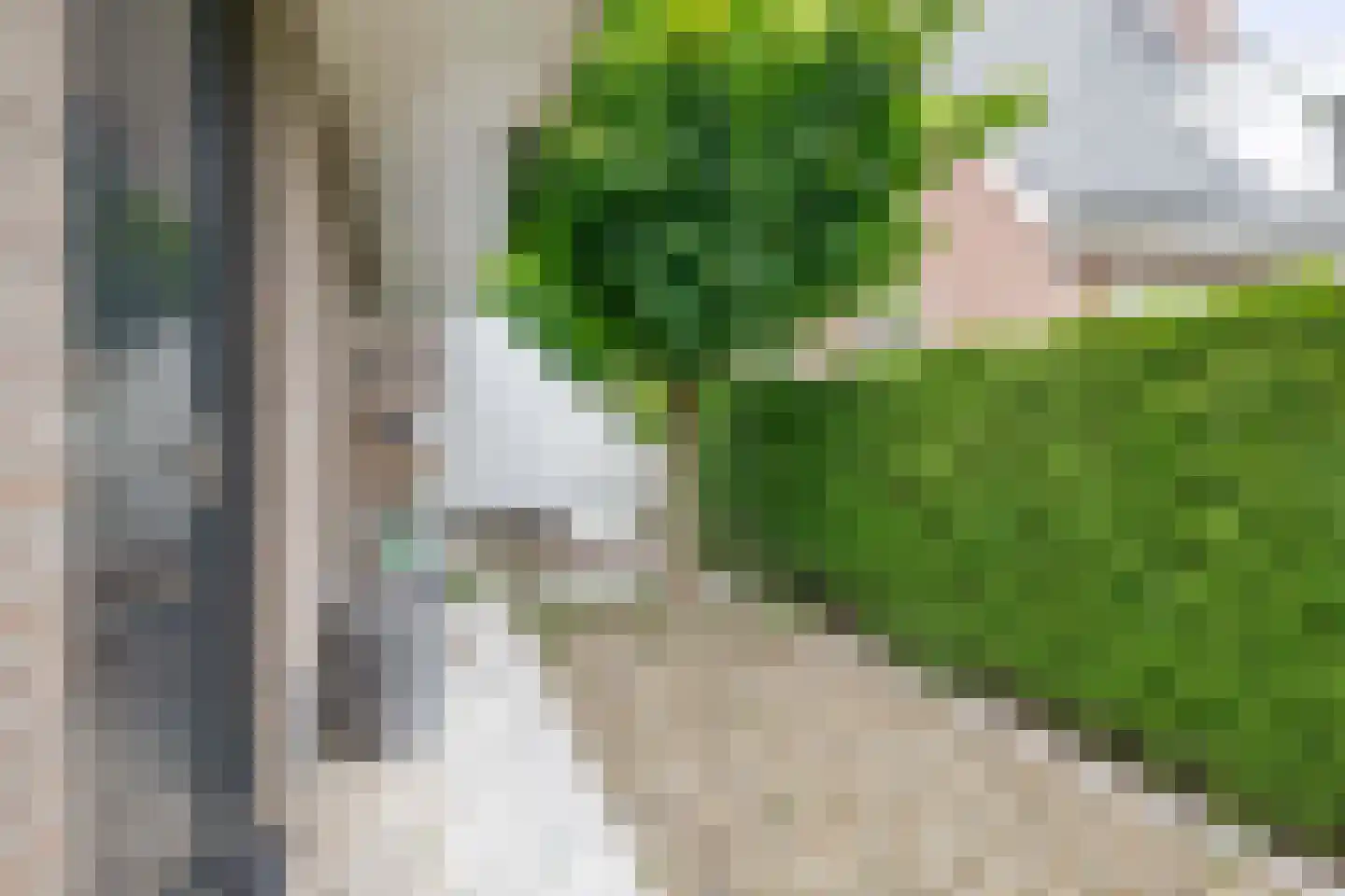 Zalm 7 Ridderkerk thumbnail 60
