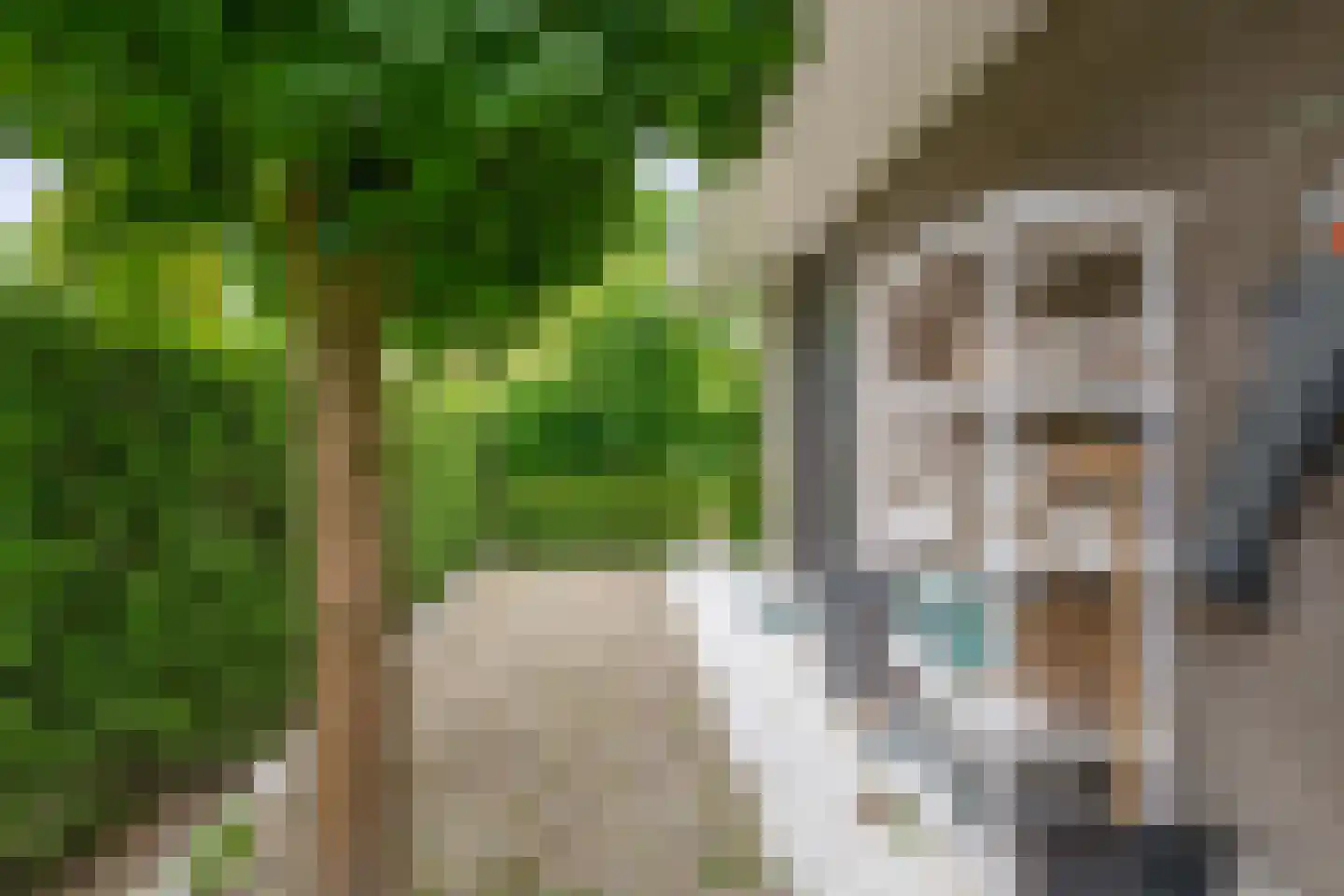 Zalm 7 Ridderkerk thumbnail 61