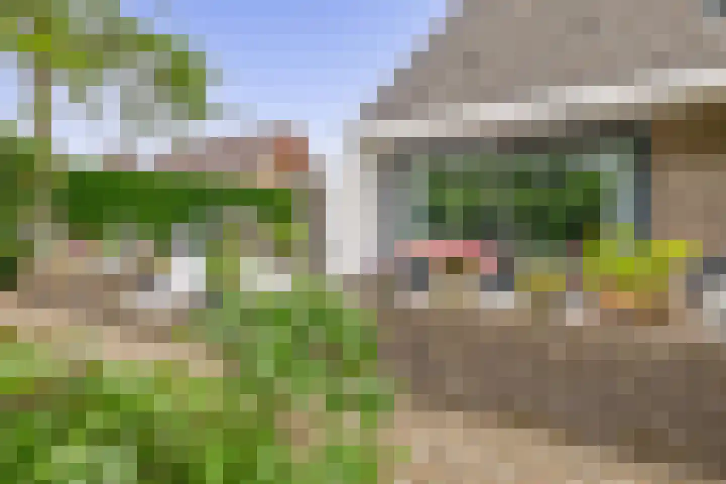 Zalm 7 Ridderkerk thumbnail 64