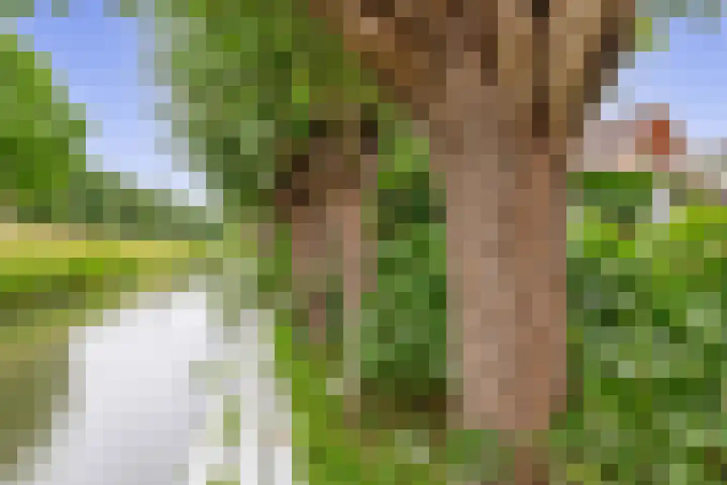 Zalm 7 Ridderkerk thumbnail 65