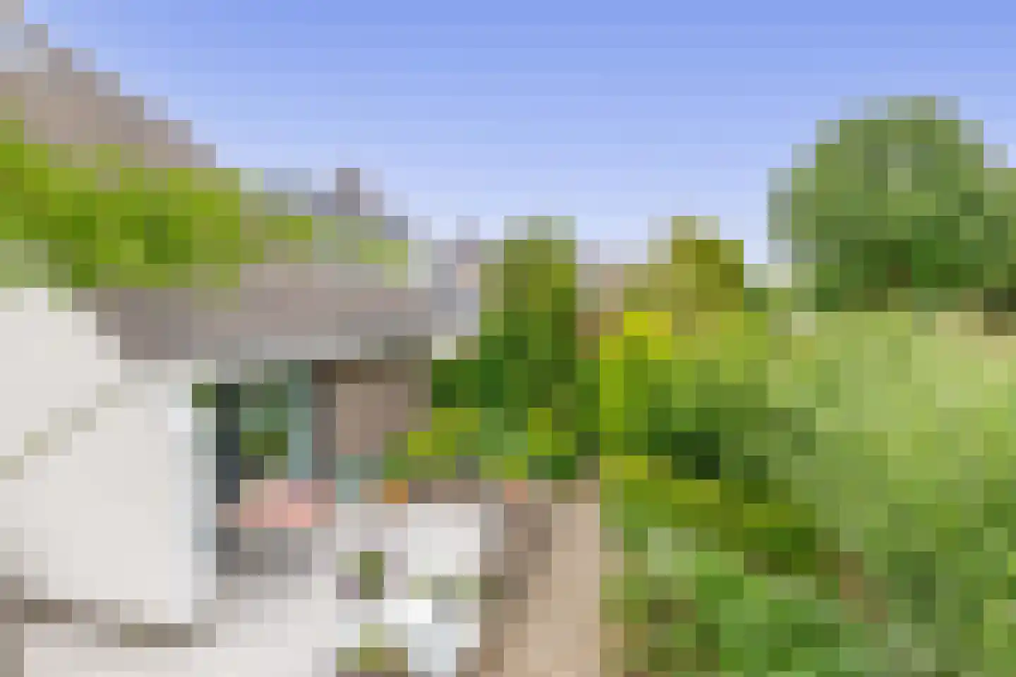 Zalm 7 Ridderkerk thumbnail 66