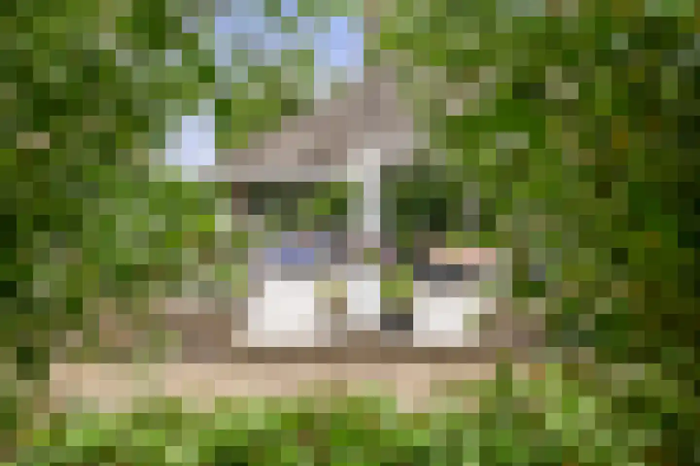 Zalm 7 Ridderkerk thumbnail 67