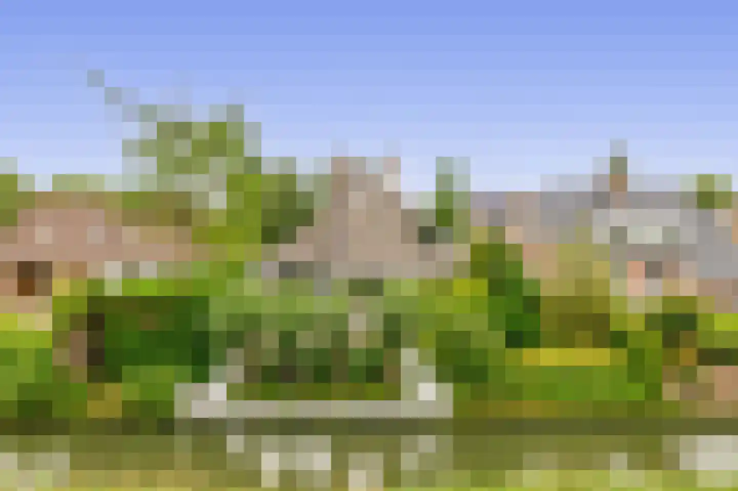 Zalm 7 Ridderkerk thumbnail 68