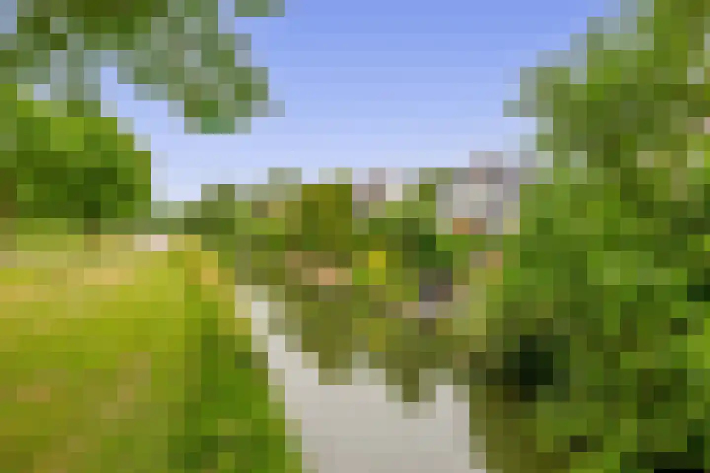 Zalm 7 Ridderkerk thumbnail 69