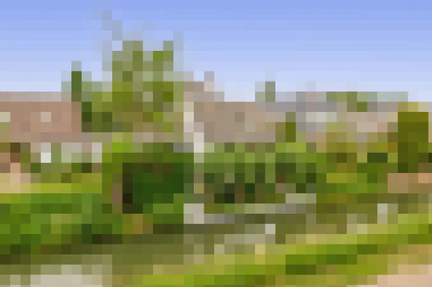 Zalm 7 Ridderkerk thumbnail 71