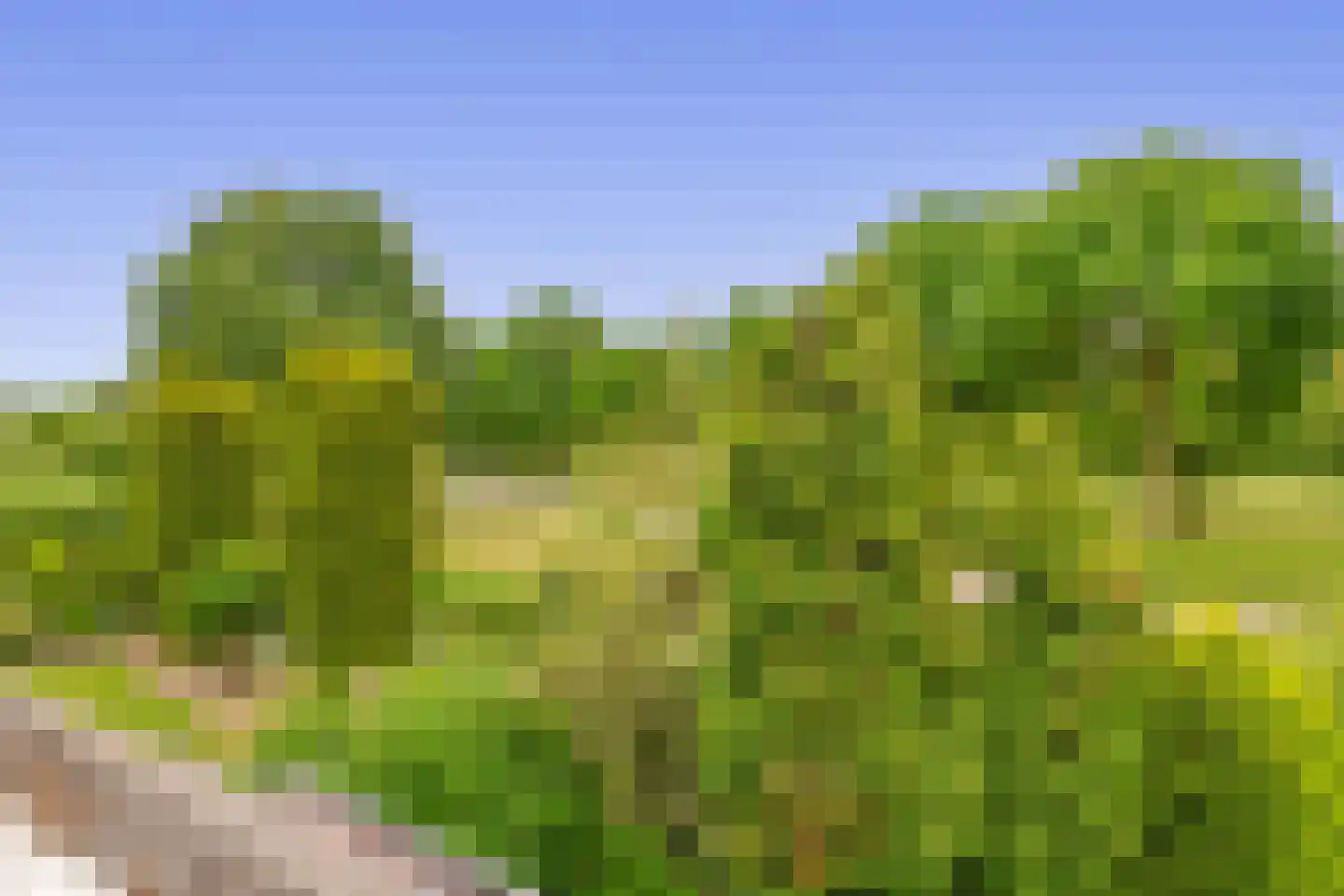Zalm 7 Ridderkerk thumbnail 72
