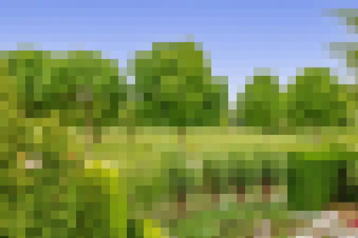Zalm 7 Ridderkerk thumbnail 73