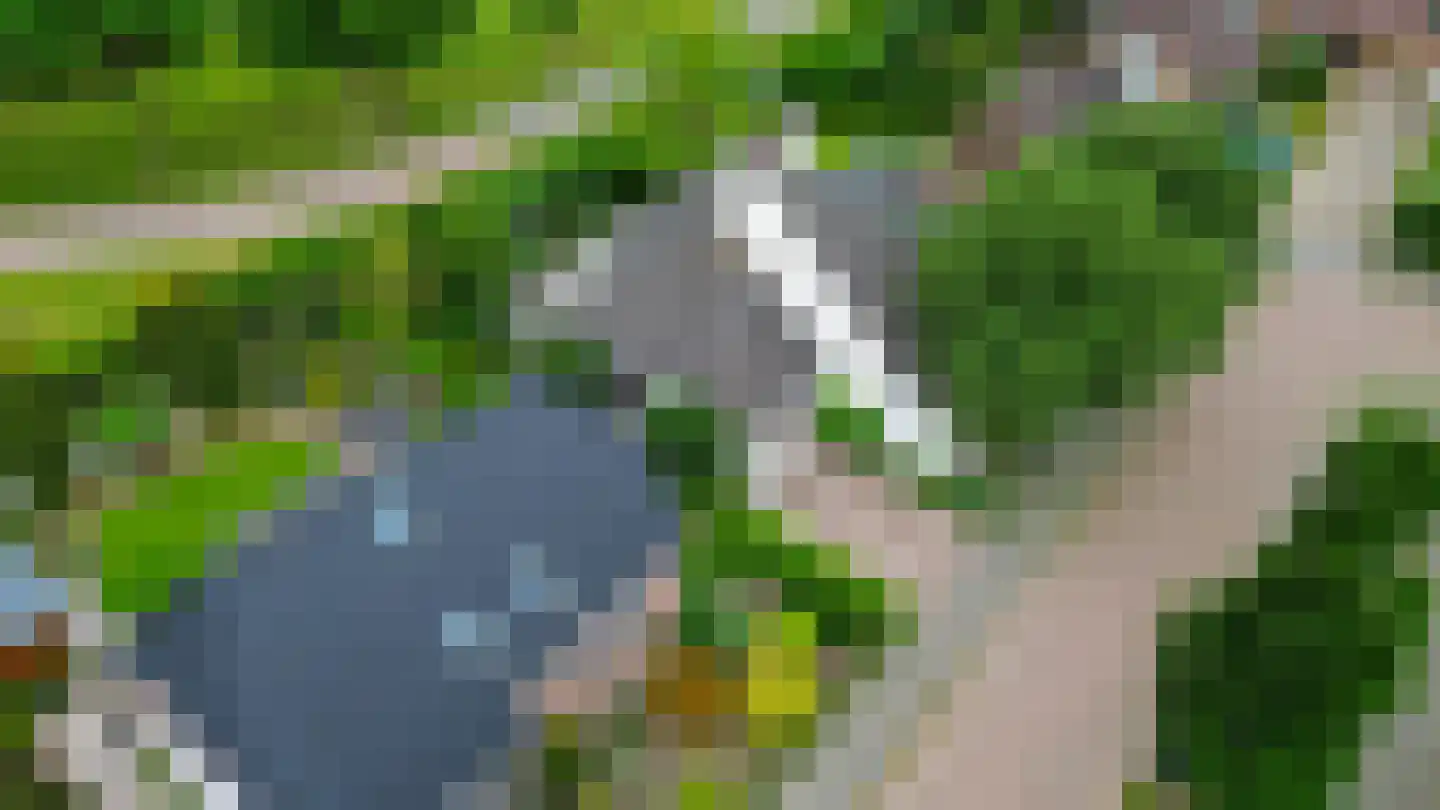 Zalm 7 Ridderkerk thumbnail 75
