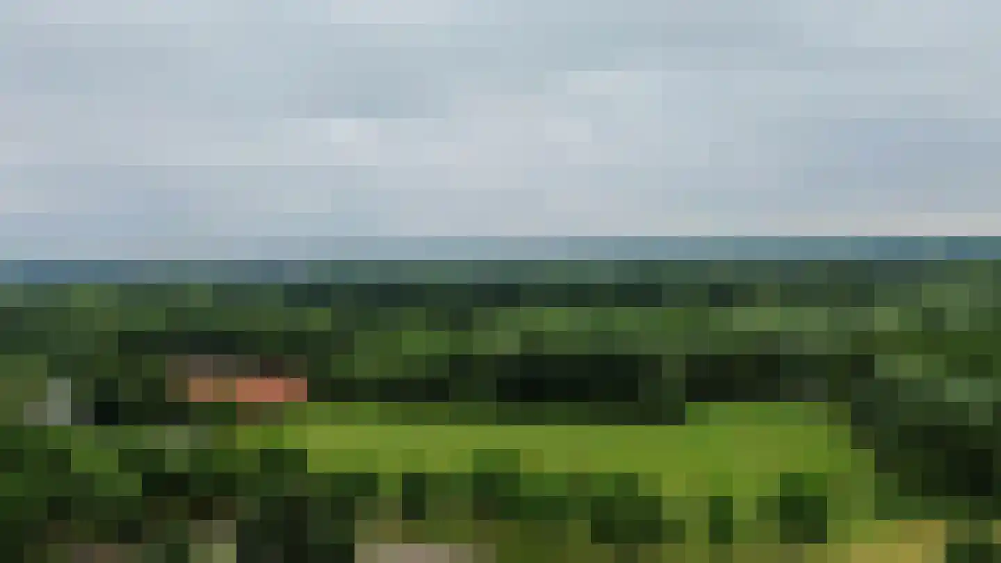 Zalm 7 Ridderkerk thumbnail 77