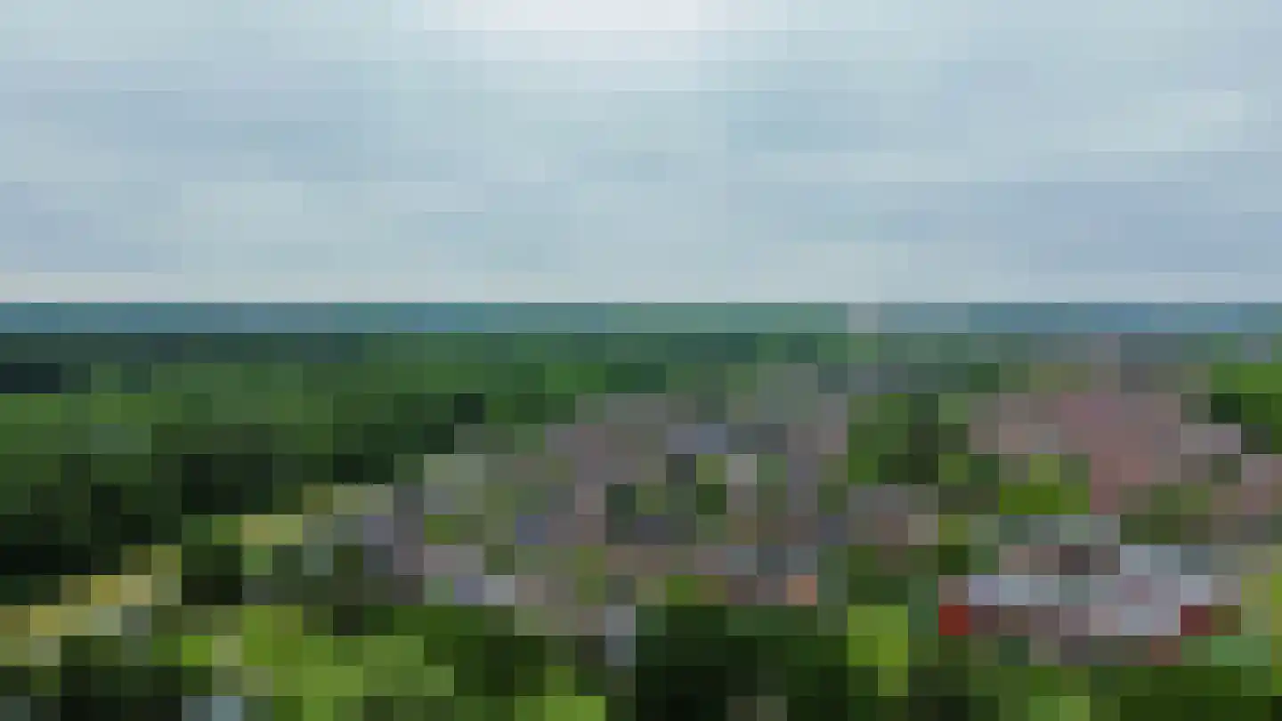 Zalm 7 Ridderkerk thumbnail 79