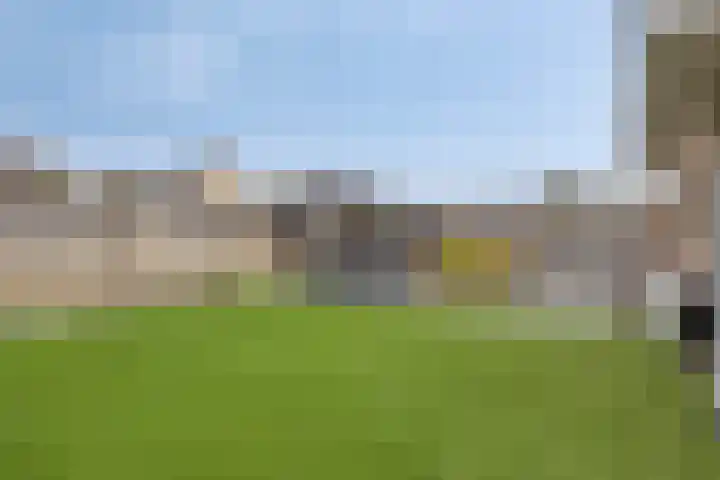 Zalm 7 Ridderkerk thumbnail 8
