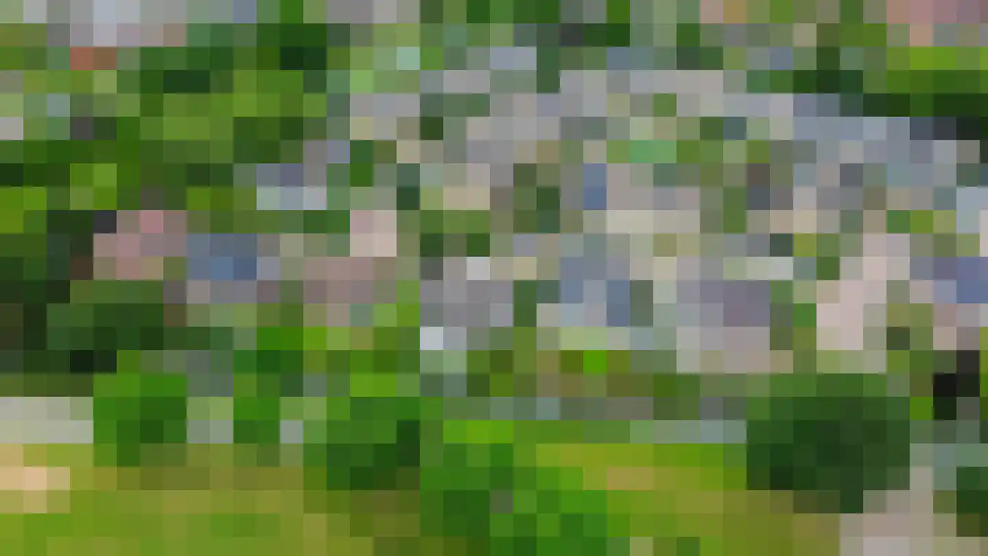 Zalm 7 Ridderkerk thumbnail 82