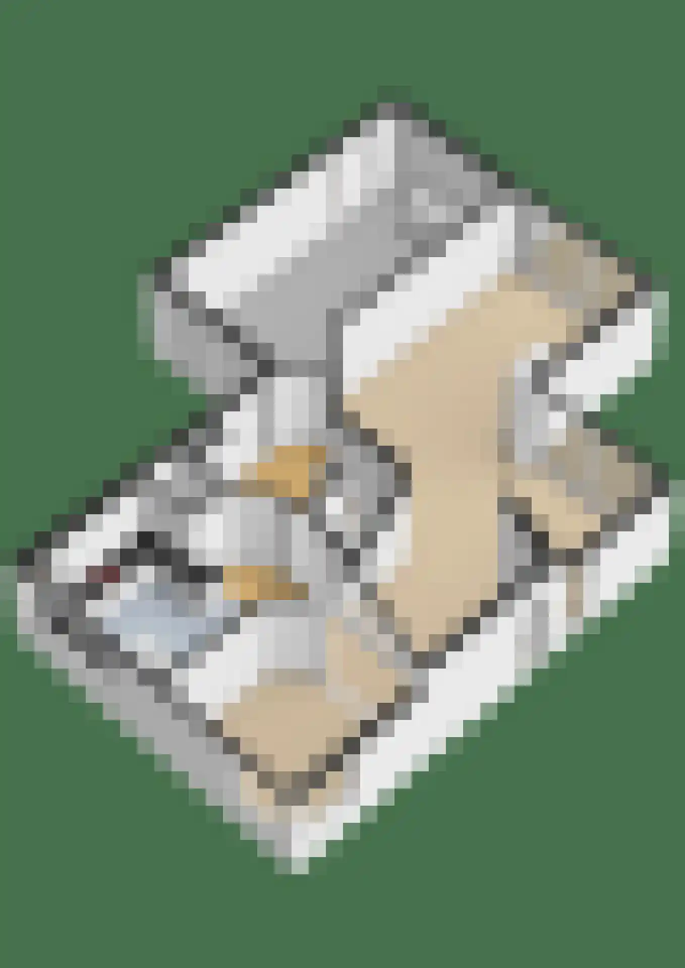 Zalm 7 Ridderkerk thumbnail 85