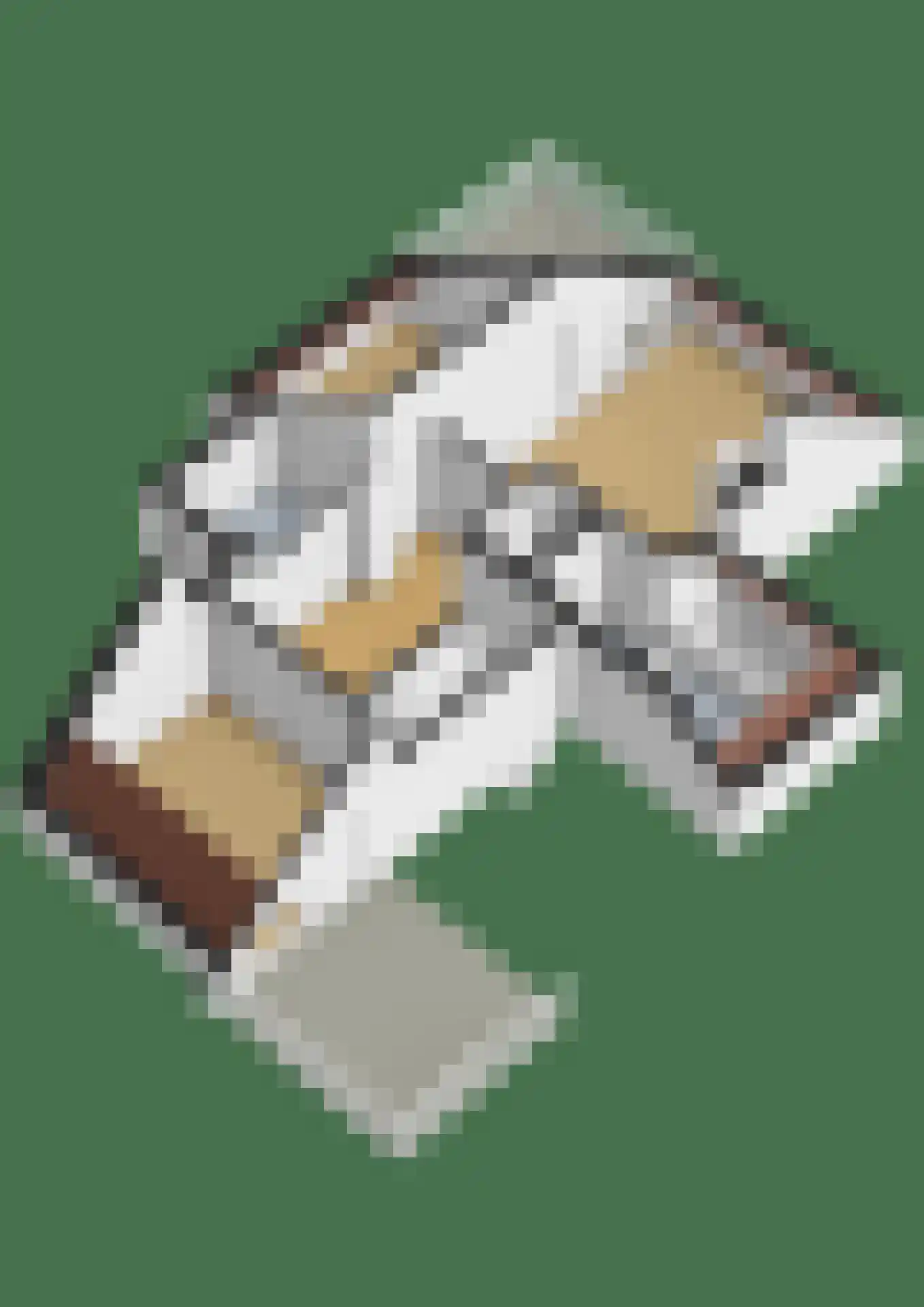 Zalm 7 Ridderkerk thumbnail 87
