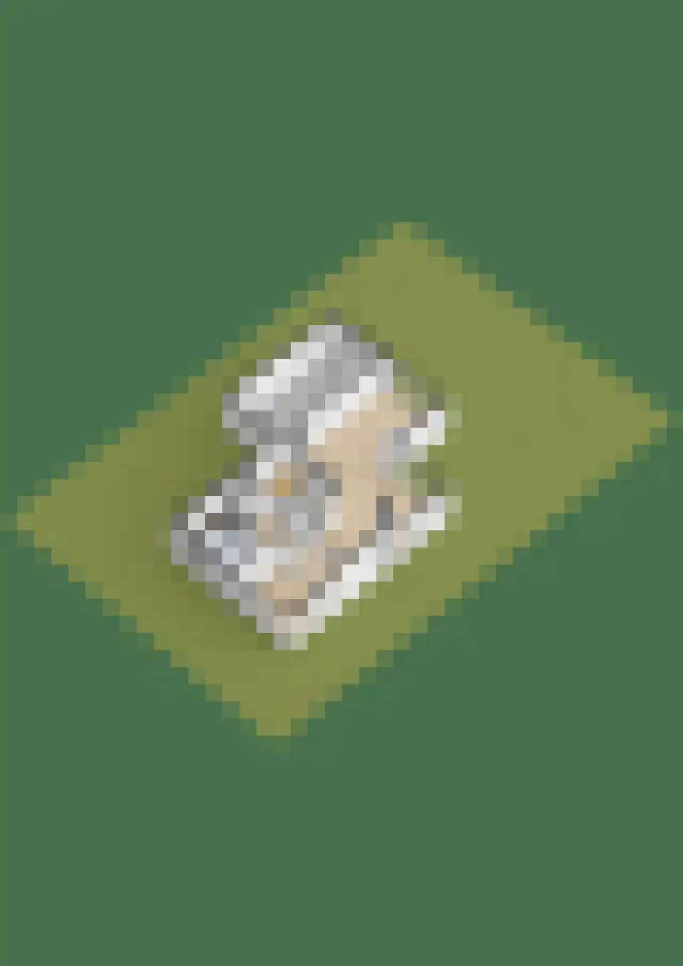 Zalm 7 Ridderkerk thumbnail 89