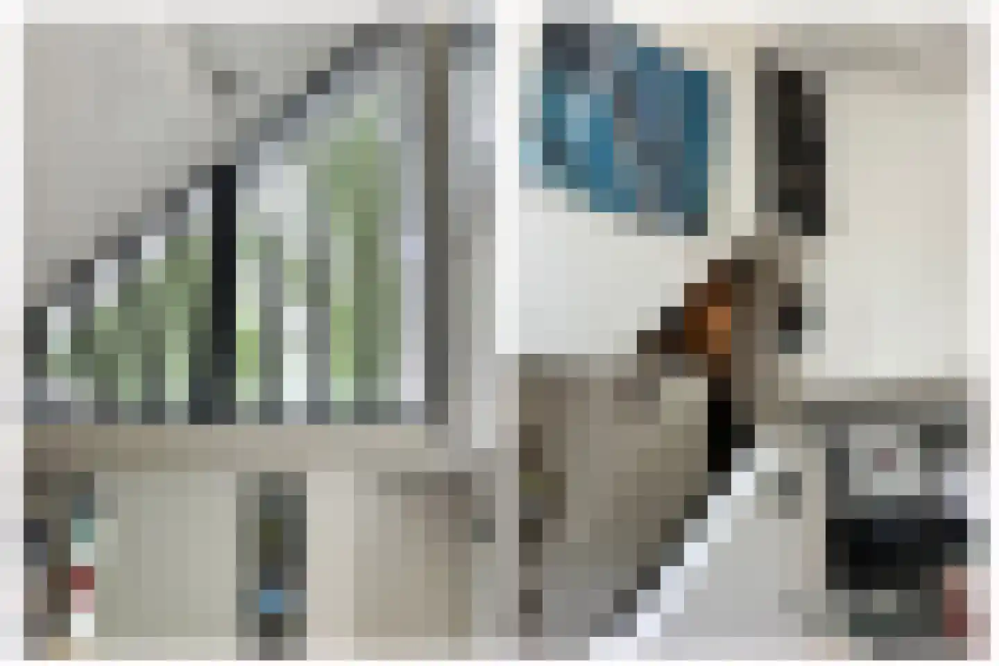 Zalm 7 Ridderkerk thumbnail 9