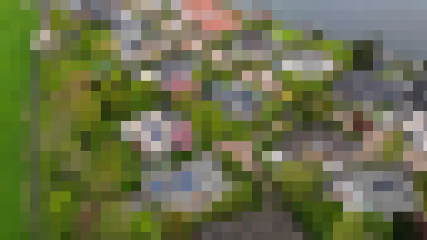 Zalmlaan 15 in Zwartewaal