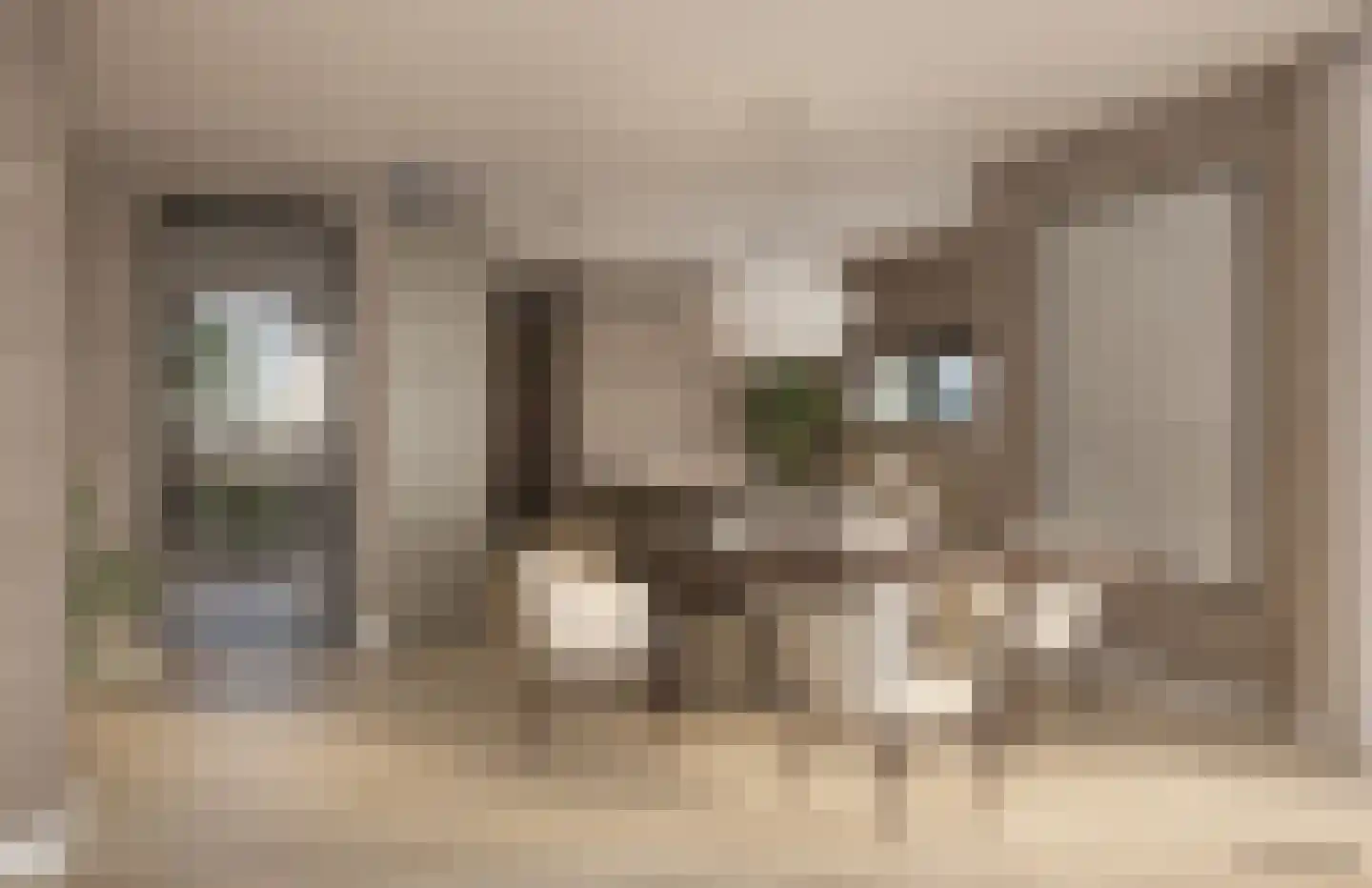 Zalmschouw 7 Meerstad thumbnail 5