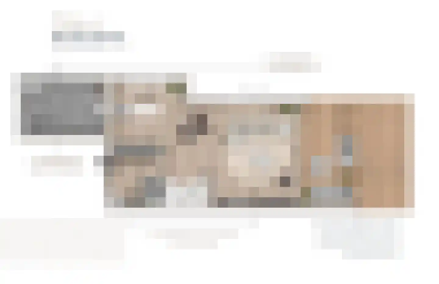 Zalmschouw 7 Meerstad thumbnail 7