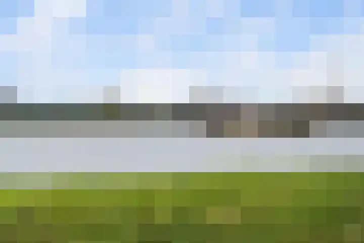 Zalmstael 8 Maassluis thumbnail 11
