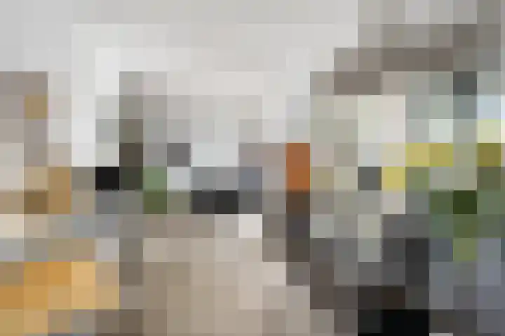 Zalmstael 8 Maassluis thumbnail 13