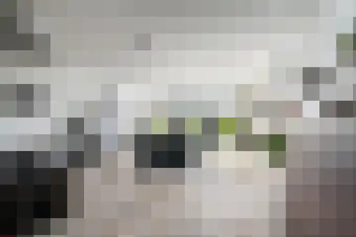 Zalmstael 8 Maassluis thumbnail 23