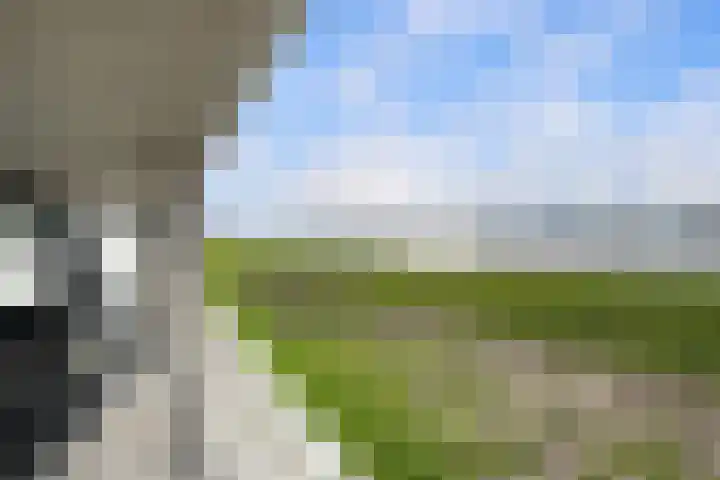 Zalmstael 8 Maassluis thumbnail 30