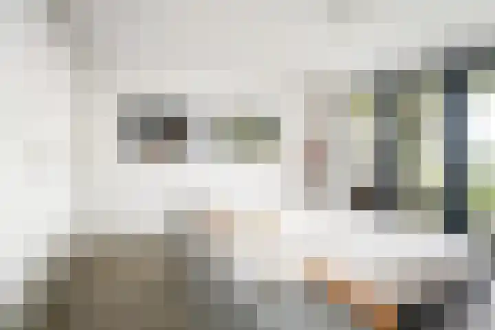 Zalmstael 8 Maassluis thumbnail 31