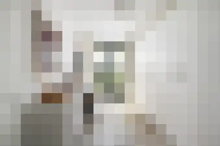 Zalmstael 8 Maassluis thumbnail 32