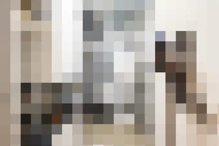 Zalmstael 8 Maassluis thumbnail 37
