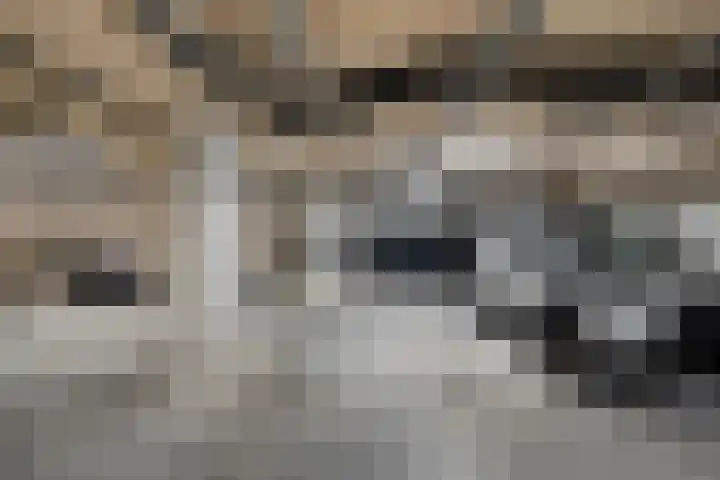 Zalmstael 8 Maassluis thumbnail 38
