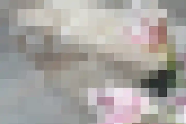 Zalmstael 8 Maassluis thumbnail 4