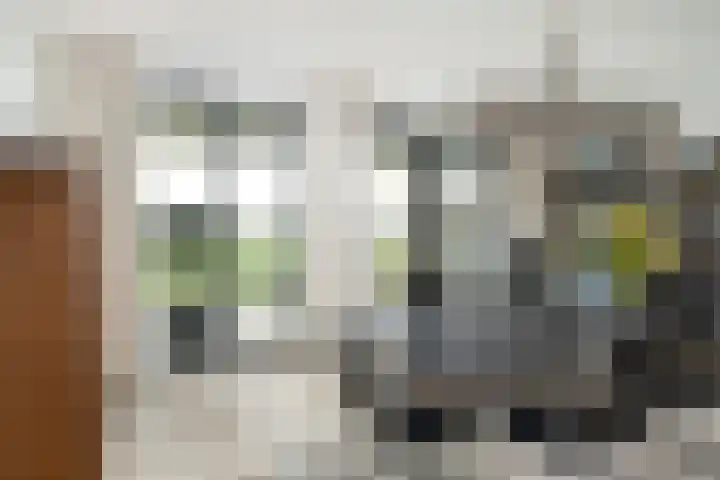 Zalmstael 8 Maassluis thumbnail 9