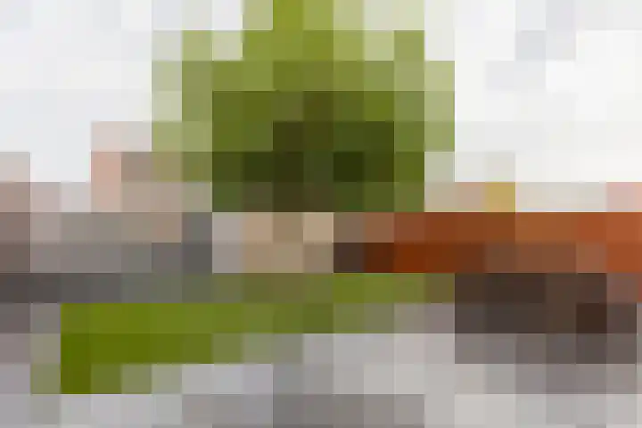 Zalmwater 131 Barendrecht thumbnail 40