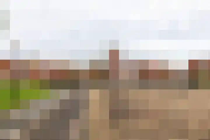 Zalmwater 131 Barendrecht thumbnail 42