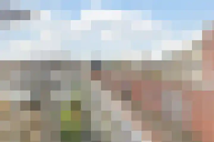 Zalmwater 23 Barendrecht thumbnail 31